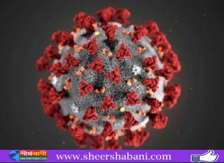 বিশ্বে করোনায় আক্রান্ত প্রায় ৫০ লাখ