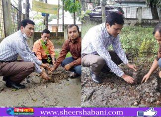 মুজিববর্ষ উপলক্ষে দৌলতখানে ভূমি অফিসের উদ্যোগে বৃক্ষ রোপণ