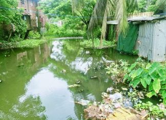চরফ্যাশন শহরের বসত ভিটায় ঢুকছে জোয়ারের পানি