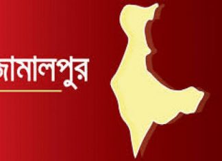 জামালপুরে নিজ ঘরের বিছানায় মা-ছেলের লাশ