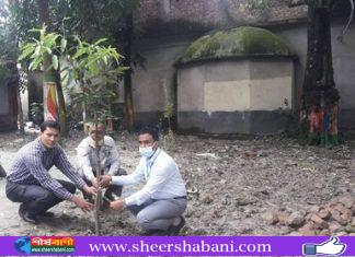 মুজিববর্ষে নরসিংদী সদর উপজেলা ভূমি অফিসের উদ্যোগে বৃক্ষ রোপণ