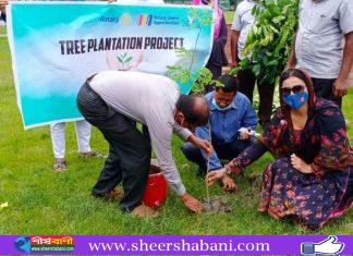 ভোলায় রোটারী ক্লাব অব স্কাইলাইন ঢাকা’র বৃক্ষরোপণ কর্মসূচী