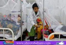 ডেঙ্গুতে ৩ জনের মৃত্যু, হাসপাতালে ভর্তি ২৫১
