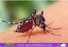 ডেঙ্গুতে আরও ৩ মৃত্যু, ভর্তি ৪৫৮