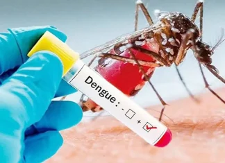 ডেঙ্গুতে তিনজনের মৃত্যু, হাসপাতালে ভর্তি ৩৭২