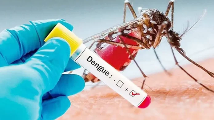 dengue-1-20260716212434