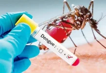ডেঙ্গুতে আরও একজনের মৃত্যু, হাসপাতালে ভর্তি ২৪২