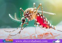 ডেঙ্গুতে আরও ৩ জনের মৃত্যু, ভর্তি ৭৫৩