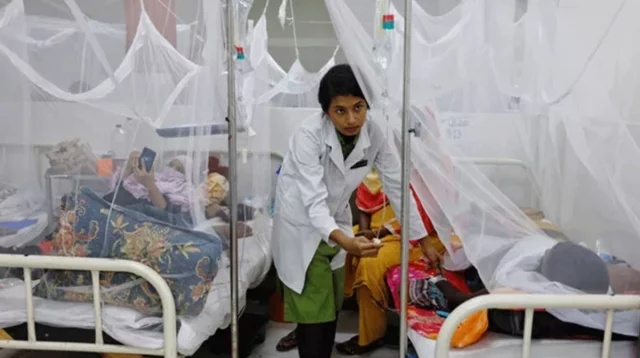 ২৪ ঘণ্টায় ৫৩০ ডেঙ্গু রোগী ভর্তি