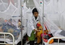 ডেঙ্গুতে আরও ২ মৃত্যু, আক্রান্ত ৪২৩