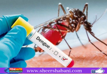 ডেঙ্গুতে আরও ৩ জনের মৃত্যু, নতুন শনাক্ত ৫৮০