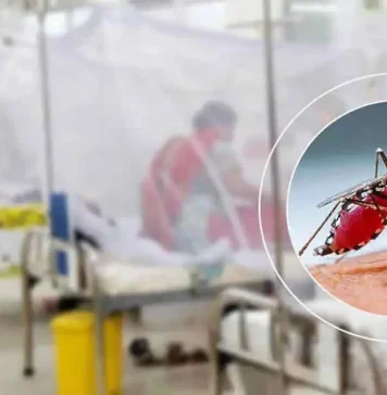 ডেঙ্গুতে আক্রান্ত বেড়ে ১,০৯৭, মৃত্যু ৩