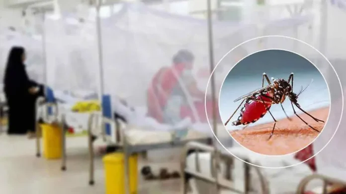 dengue-20260829183134