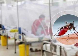 ডেঙ্গুতে ৪ মৃত্যু, হাসপাতালে ১১৬৩