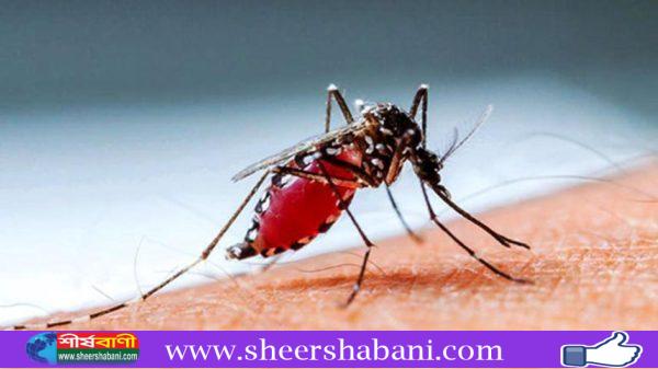 dengue-600x337-1