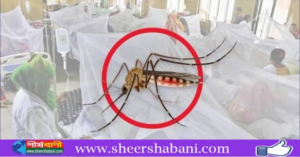 ২৪ ঘণ্টায় ডেঙ্গুতে ২ মৃত্যু, ভর্তি ৬৯৩