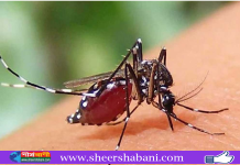 ডেঙ্গুতে ৩ মৃত্যু, ভর্তি ১,৪৬৩