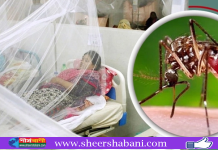 ডেঙ্গুতে আরও ৫ মৃত্যু, ভর্তি ১১০০