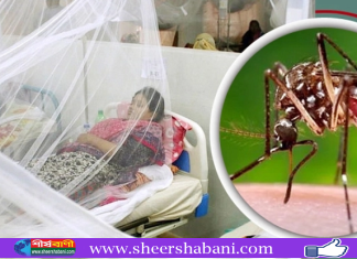 ডেঙ্গুতে আরও ৫ মৃত্যু, ভর্তি ১১০০