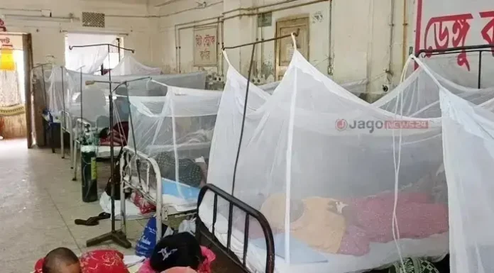 ডেঙ্গুতে আরও ৬ মৃত্যু, ভর্তি ১৮৬৮