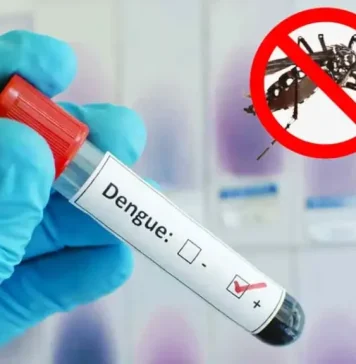 ডেঙ্গুতে আরও ৪ মৃত্যু, ভর্তি ১,৩১৪