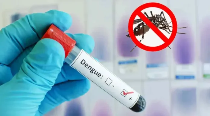 ডেঙ্গুতে আরও ৪ মৃত্যু, ভর্তি ১,৩১৪