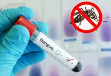 ডেঙ্গুতে রেকর্ড ৯ মৃত্যু, ভর্তি ১,৫৭১