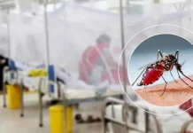ডেঙ্গুতে আক্রান্ত হয়ে হাসপাতালে ২১৫৮ জন, মৃত্যু ৬