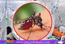 ডেঙ্গুতে আরও ৪ মৃত্যু, আক্রান্ত ১,৫৫৮