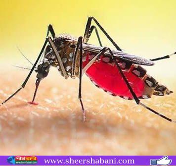 ডেঙ্গুতে আরও ১০ জনের মৃত্যু, হাসপাতালে ভর্তি ১৯৯৬