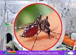 ডেঙ্গুতে আরও ৪ মৃত্যু, আক্রান্ত ১,৫৫৮