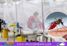 ডেঙ্গুতে ২৪ ঘণ্টায় ২ মৃত্যু, হাসপাতালে ৯৮৮