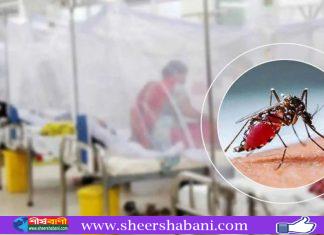 ডেঙ্গুতে ২৪ ঘণ্টায় ২ মৃত্যু, হাসপাতালে ৯৮৮