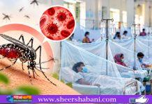 ডেঙ্গুতে ১২ দিনে ৭১ মৃত্যু, একদিনে আক্রান্ত ১৯৫৪
