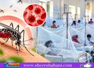 ডেঙ্গুতে ১২ দিনে ৭১ মৃত্যু, একদিনে আক্রান্ত ১৯৫৪