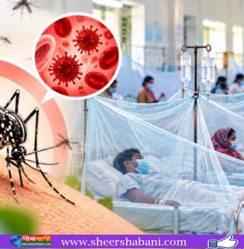 ডেঙ্গুতে ১২ দিনে ৭১ মৃত্যু, একদিনে আক্রান্ত ১৯৫৪
