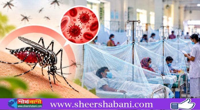 ডেঙ্গুতে ১২ দিনে ৭১ মৃত্যু, একদিনে আক্রান্ত ১৯৫৪