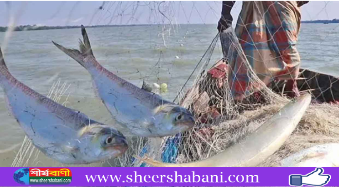 মা ইলিশ সংরক্ষণে ১১১ এমপিকে নির্দেশনা