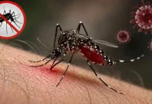 ডেঙ্গুতে এক দিনে ভর্তি ২১৯৩, মৃত্যু ৪