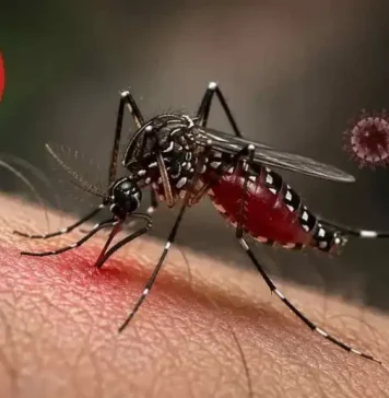 ডেঙ্গুতে এক দিনে ভর্তি ২১৯৩, মৃত্যু ৪